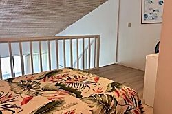 Turtle Bay Deep Blue