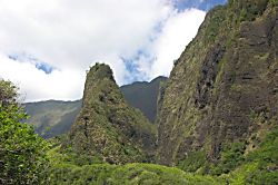 Napili Shores Resort I-269