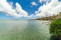 Niuiki Oceanfront Retreat