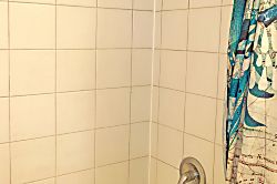 Polynesian Shores #222