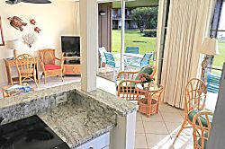 Polynesian Shores 101