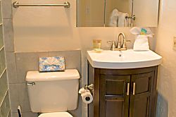 Polynesian Shores 101