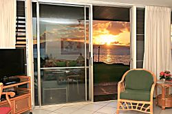 Polynesian Shores 101