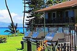 Polynesian Shores 101