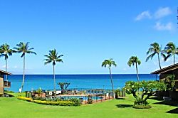 Polynesian Shores 101