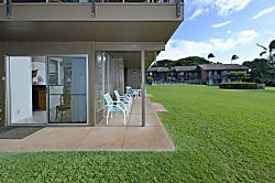 Polynesian Shores 101