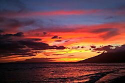 Polynesian Shores 101