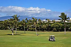 Maui Eldorado F204 - Golf