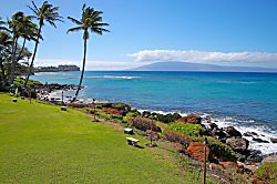 Polynesian Shores 124