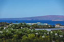 Wailea Ekolu #105