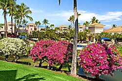 The Shores at Waikoloa 126