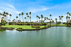 Mauna Lani Terrace D203