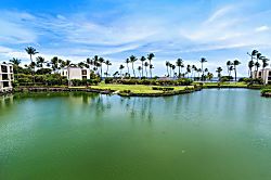 Mauna Lani Terrace D203