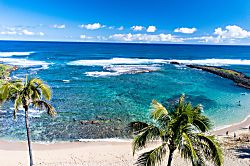 Ocean Villas at Turtle Bay 202 - View of the sandy beach and ocean in front of the Villas! - a great place for snorkeling a