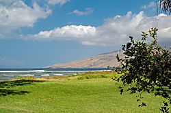 Aloha AKU CoCoPalm Suite