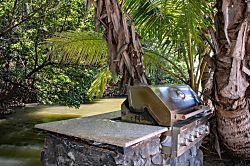 Aloha AKU CoCoPalm Suite