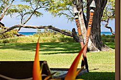 Aloha AKU CoCoPalm Suite