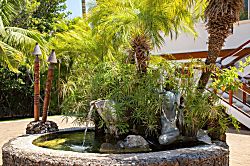 Aloha AKU CoCoPalm Suite