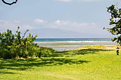 Aloha AKU CoCoPalm Suite