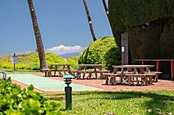 Waiohuli Beach Hale D115 - Aloha Kai