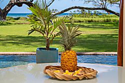 Aloha AKU Honu Suite