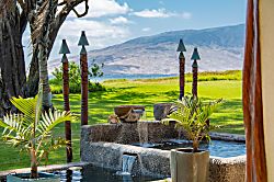 Aloha AKU Honu Suite