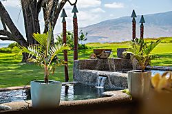 Aloha AKU Honu Suite