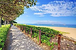 Whaler #224 Garden View