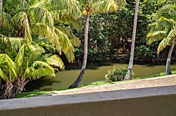 Aloha Aku Ohana Suite