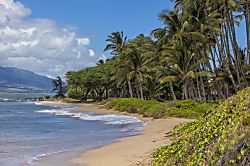 Waiohuli Beach Hale #221