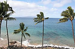 Kamaole Nalu 605 - Beach