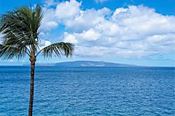 Kamaole Nalu 605 - Miscellaneous