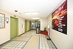 Waikiki Sunset #2904