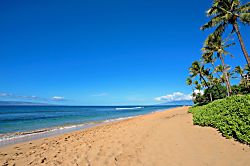 Hyatt Residence Club Ka'anapali 3BR Oceanfront Low