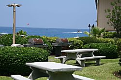 Sea Village Kona Condo