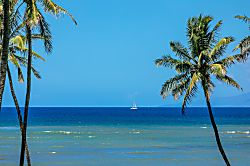 Leinaala Oceanfront #301