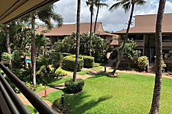 Kihei Bay Vista #D208