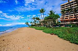Marriott Maui Ocean Club 1BR Oceanfront Suite