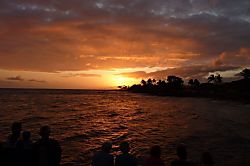 Prince Kuhio Studio 214