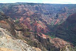 Prince Kuhio Studio 214