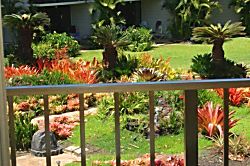 Waiohuli Beach Hale #205