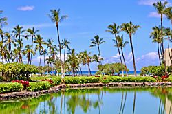 Mauna Lani Terrace D103