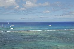 Waikiki Shore Waikiki Shore #1208