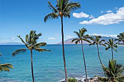 Kamaole Nalu 102 - Miscellaneous