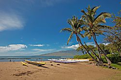 Kihei Bay Surf #213