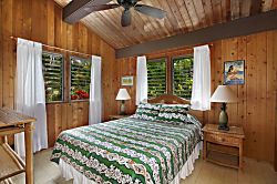 Hanalei Puanani Home