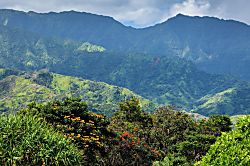Hanalei Puanani Home