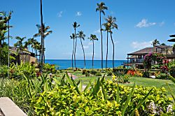 Elua Village 1601 - Property grounds