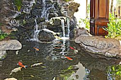 Waikiki Banyan #2609-T2