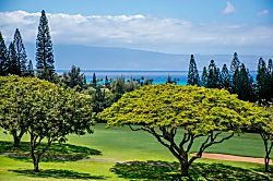 Kapalua Golf Villa 16V2